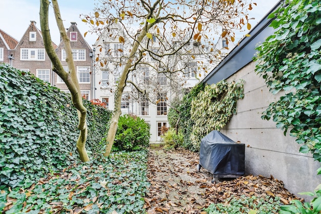 Jak ozdobić ogród przed domem, aby zachwycał sąsiadów?