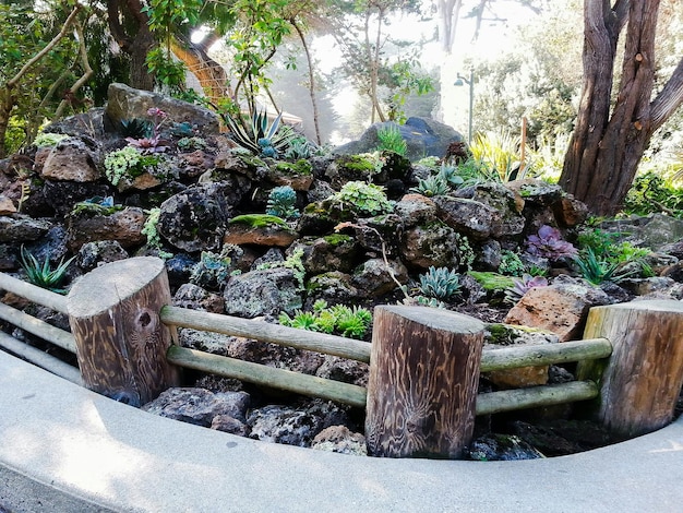 Jak urządzić skalniak, który zachwyci Twoich sąsiadów?