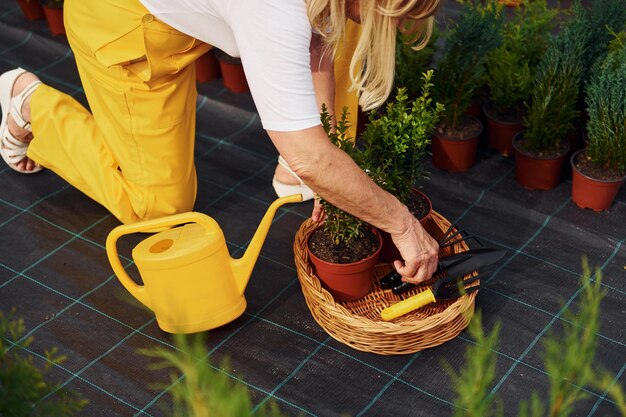 Jak założyć swój pierwszy ogród od podstaw?