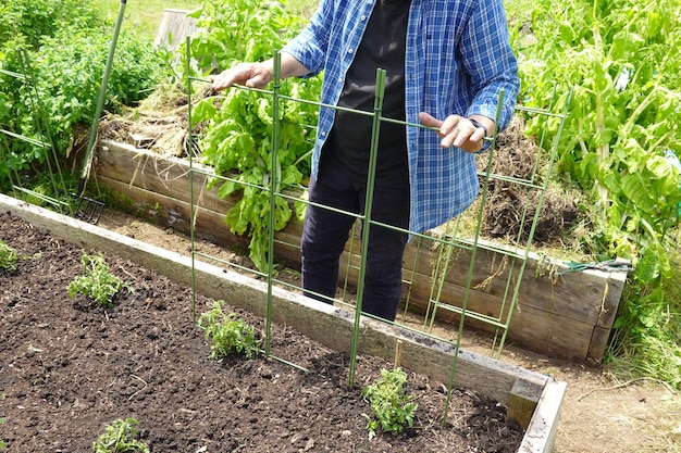 Jak zrobić warzywnik w ogrodzie i cieszyć się własnymi plonami?