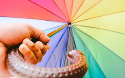 Jakie kolory pasują do siebie? Sekrety udanego łączenia barw