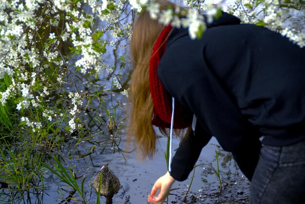 Jakie rośliny najlepiej sadzić pod iglakami w ogrodzie?