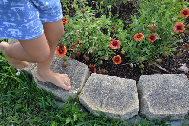 Jak samodzielnie stworzyć piękny skalniak w ogrodzie?