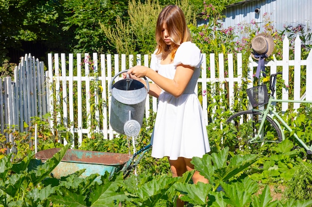 Pomysły na zagospodarowanie małego ogródka, które odmienią Twoją przestrzeń