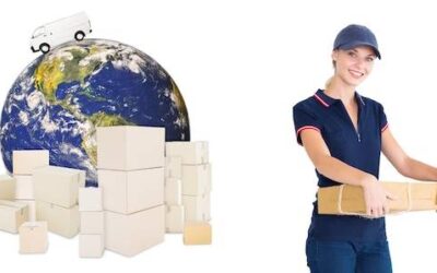 Czym jest kosz cargo i jak może ułatwić Ci życie?