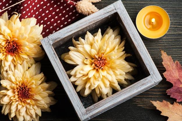 Jakie kwiaty kwitną jesienią w naszych ogrodach?