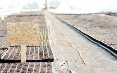 Czym najlepiej podłożyć legary, aby zapewnić trwałość podłogi?