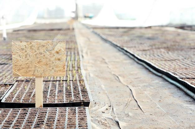 Czym najlepiej podłożyć legary, aby zapewnić trwałość podłogi?