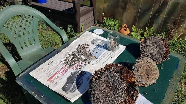 Od czego zacząć projektowanie ogrodu, aby stworzyć wymarzony zakątek?