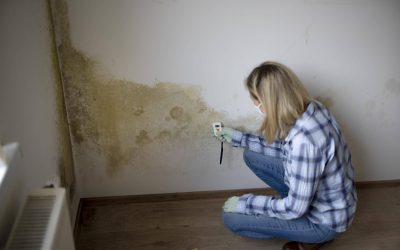 Jak skutecznie poradzić sobie z wilgocią na ścianach?